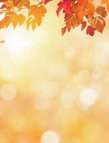 Der FAIE Herbstkatalog 2025 ist da!