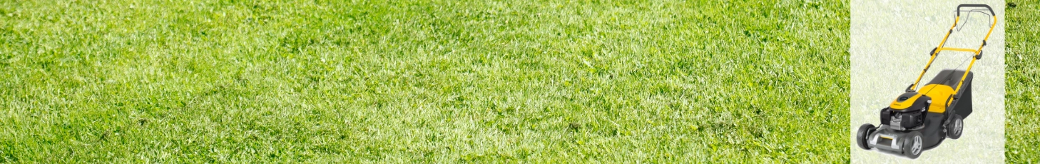 Rasenmäher Frühbezugsaktion!