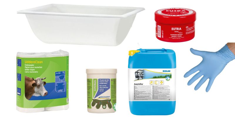 Milchwirtschaft Allgemein