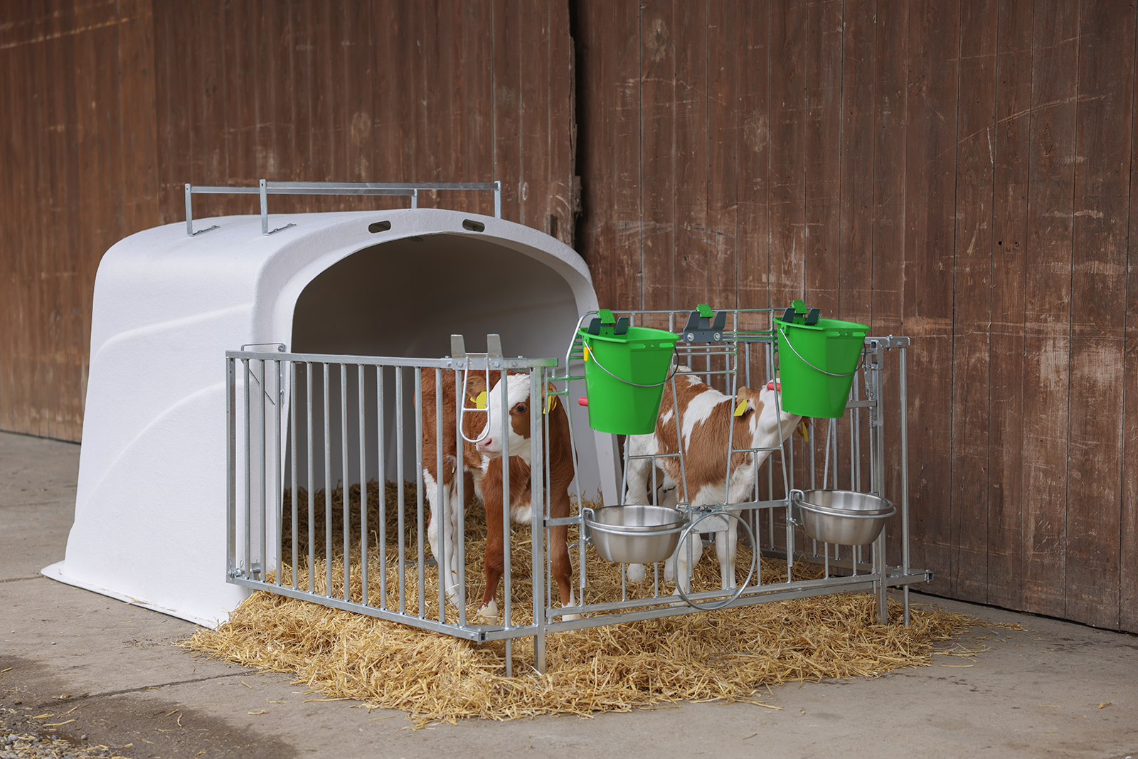 Kälberiglu CalfHouse Premium DUO, mit Zaun