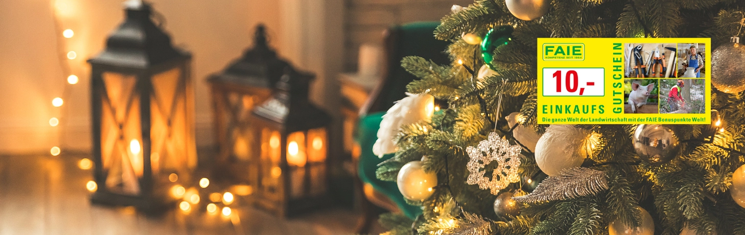 FAIE Einkaufsgutschein