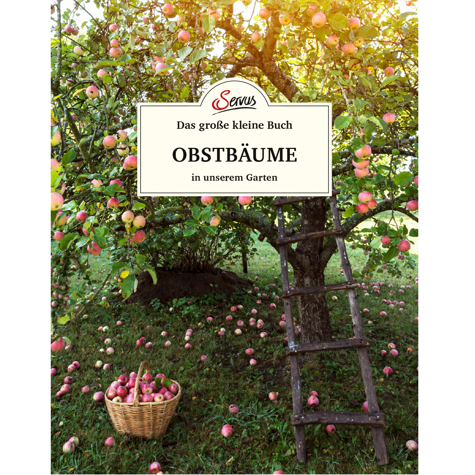  Obstbäume im Garten