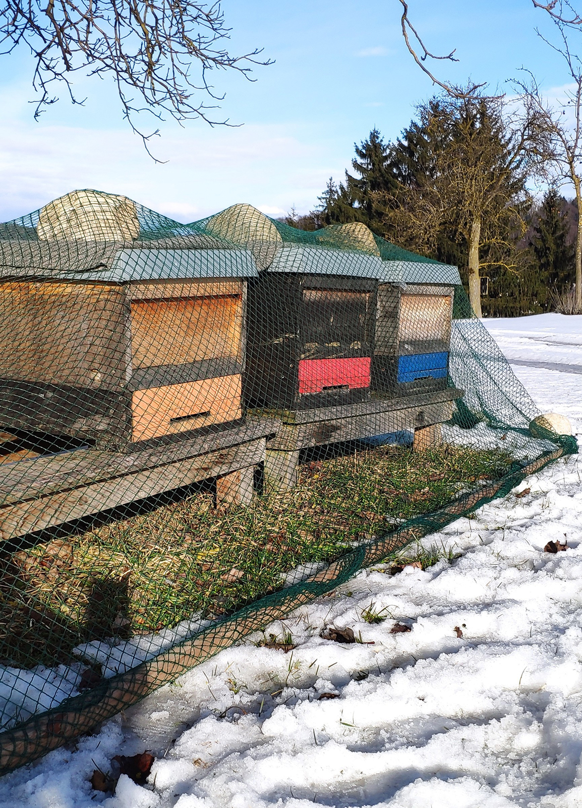 Vogelschutznetz grün