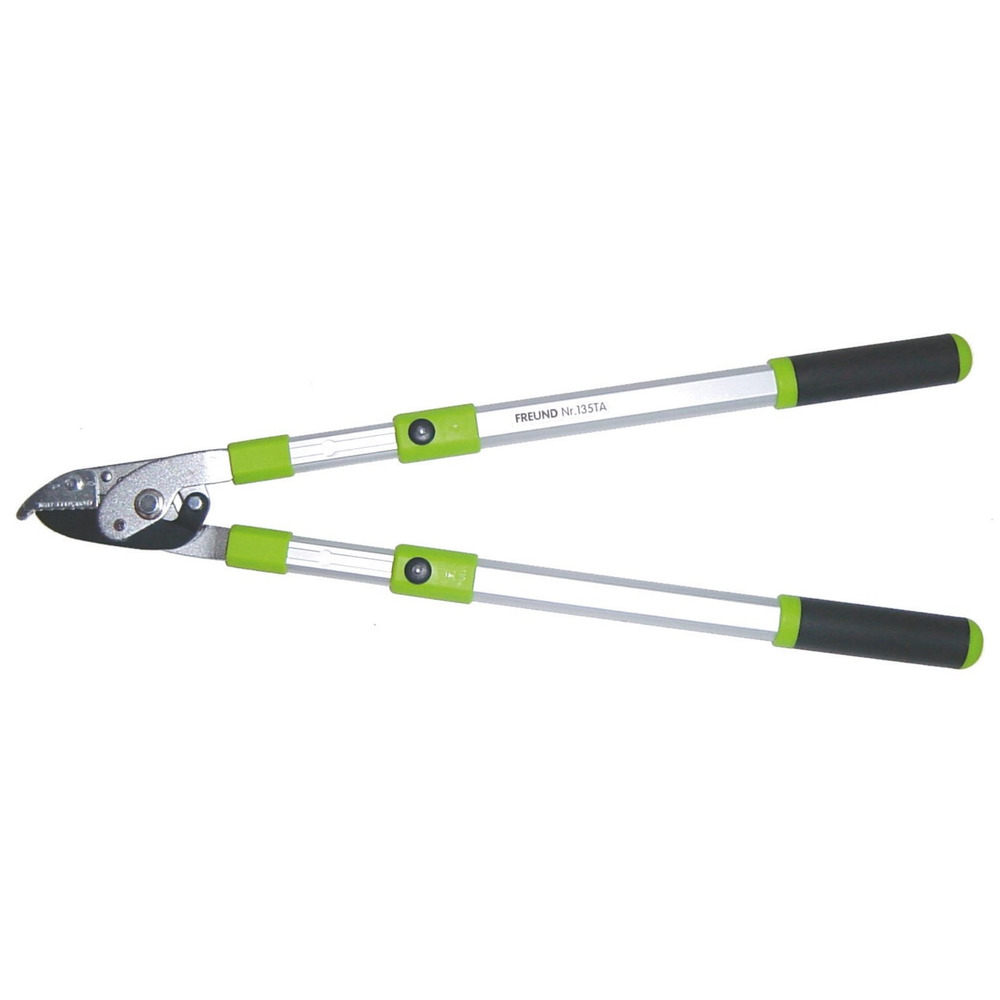 Astschere mit Teleskopgriffen