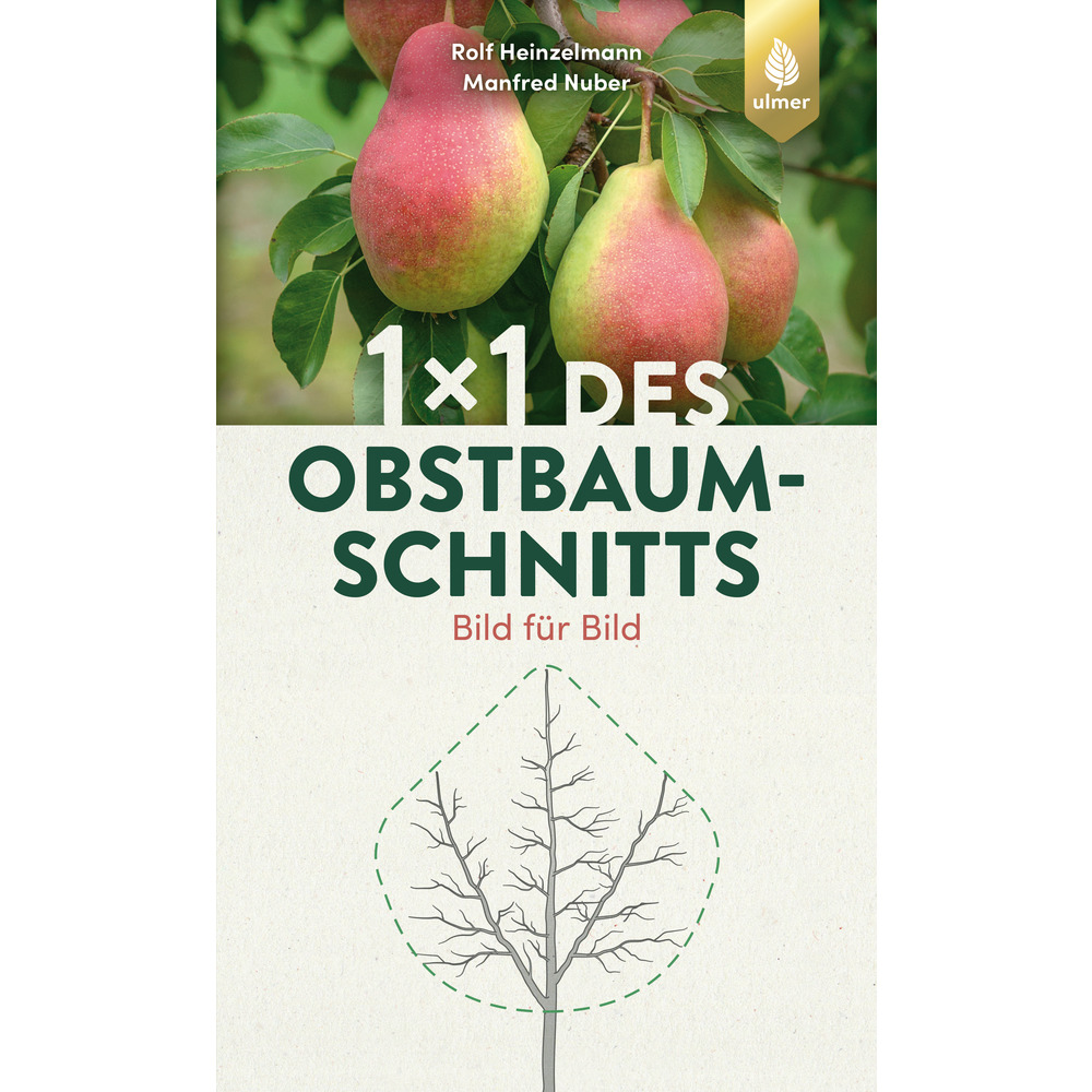 1x1 des Obstbaumschnitts