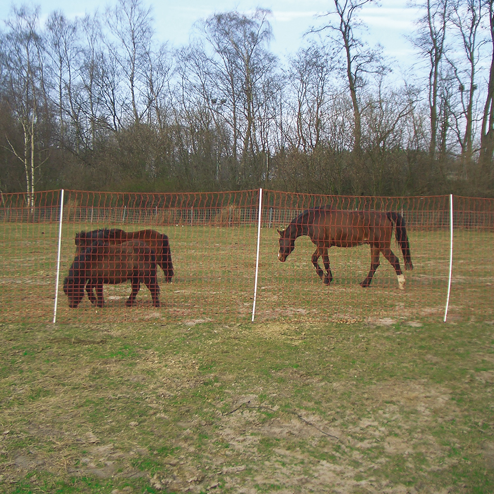 EURO-Mustang-Netz 170 cm