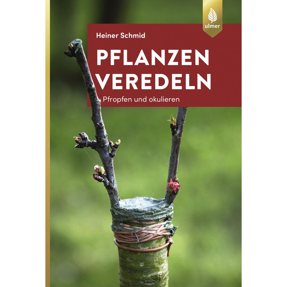 Pflanzen Veredeln Pfropfen und okulieren