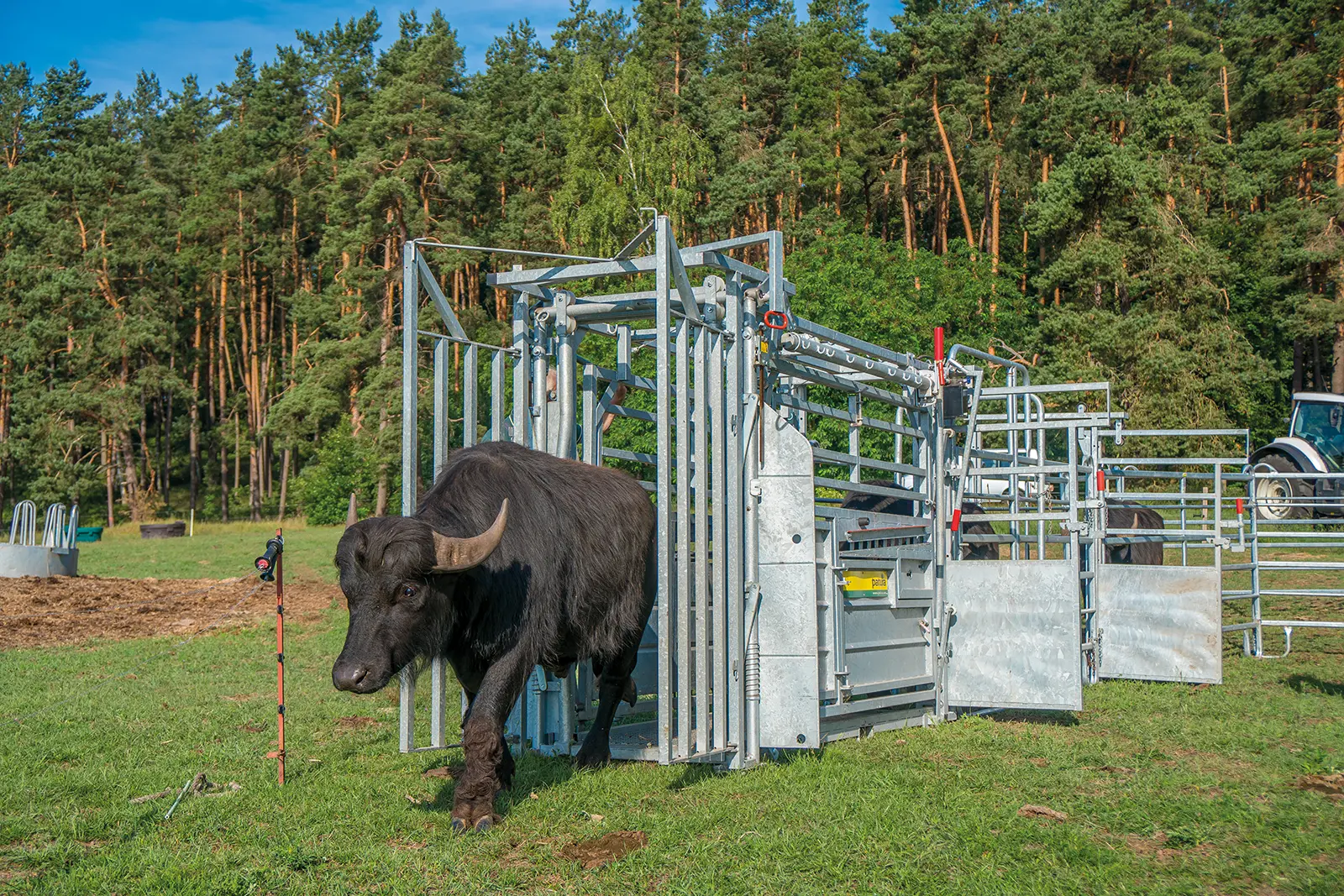 Behandlungsstand A8000