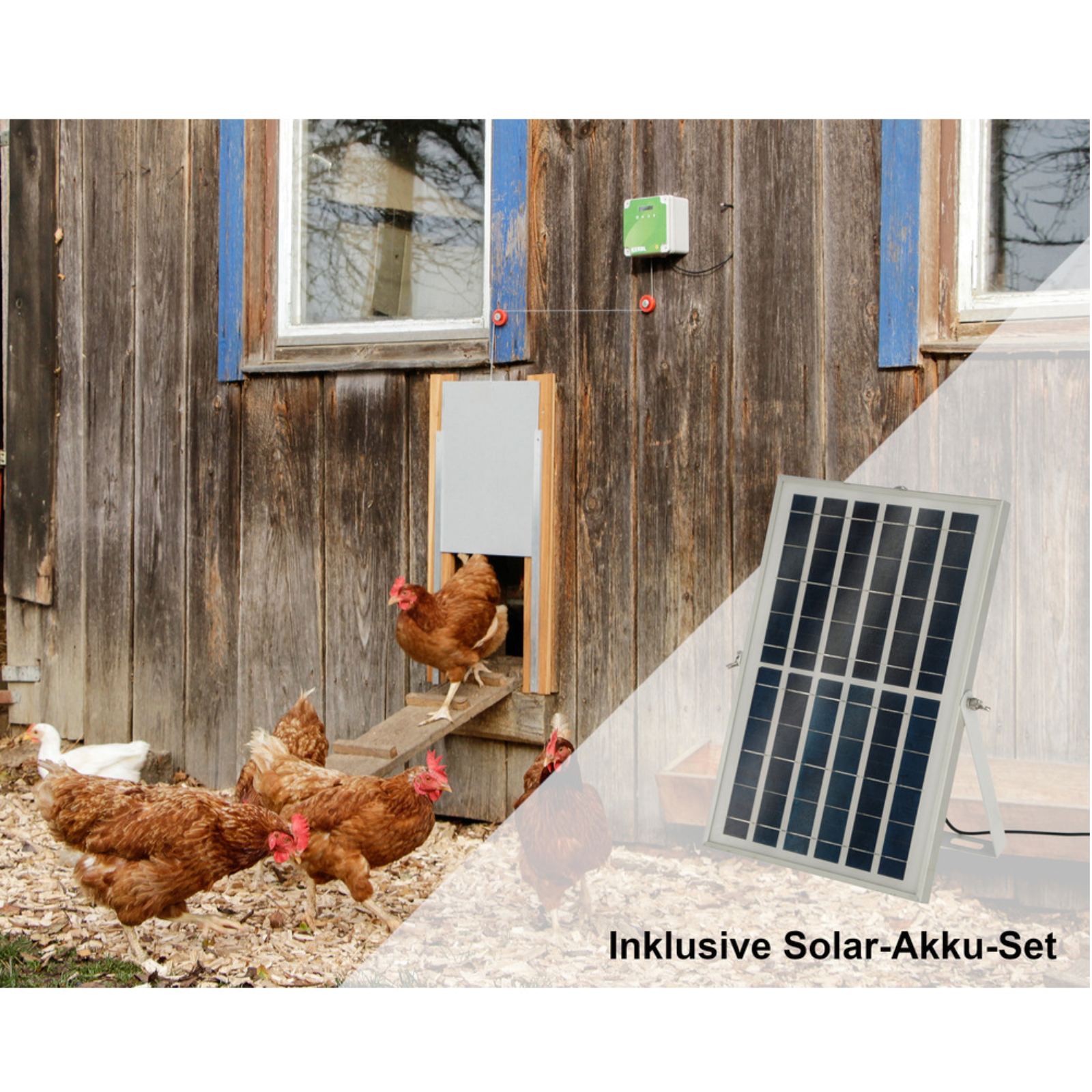 Hühnertür-Akku-Solar-Set groß BIO