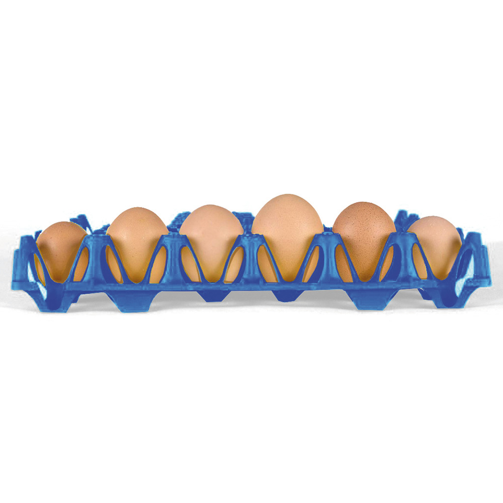 Eierlage für 30 Eier, Kunststoff