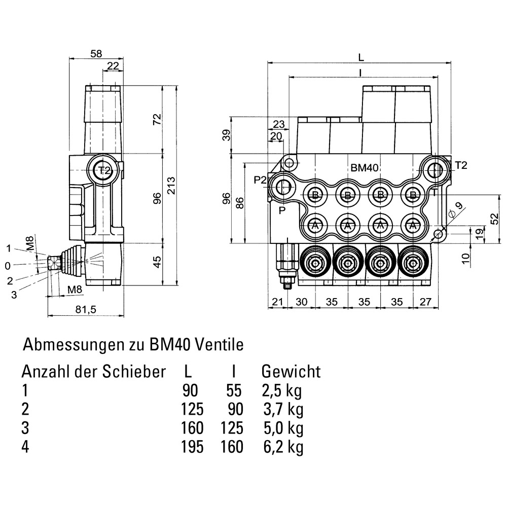 Steuerventil für den Holzspalterbau-FA45291