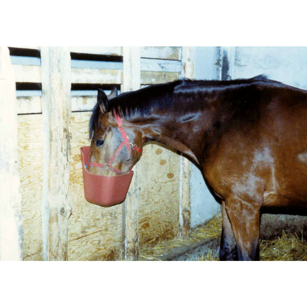 Kraftfuttertrog, 11,5 L