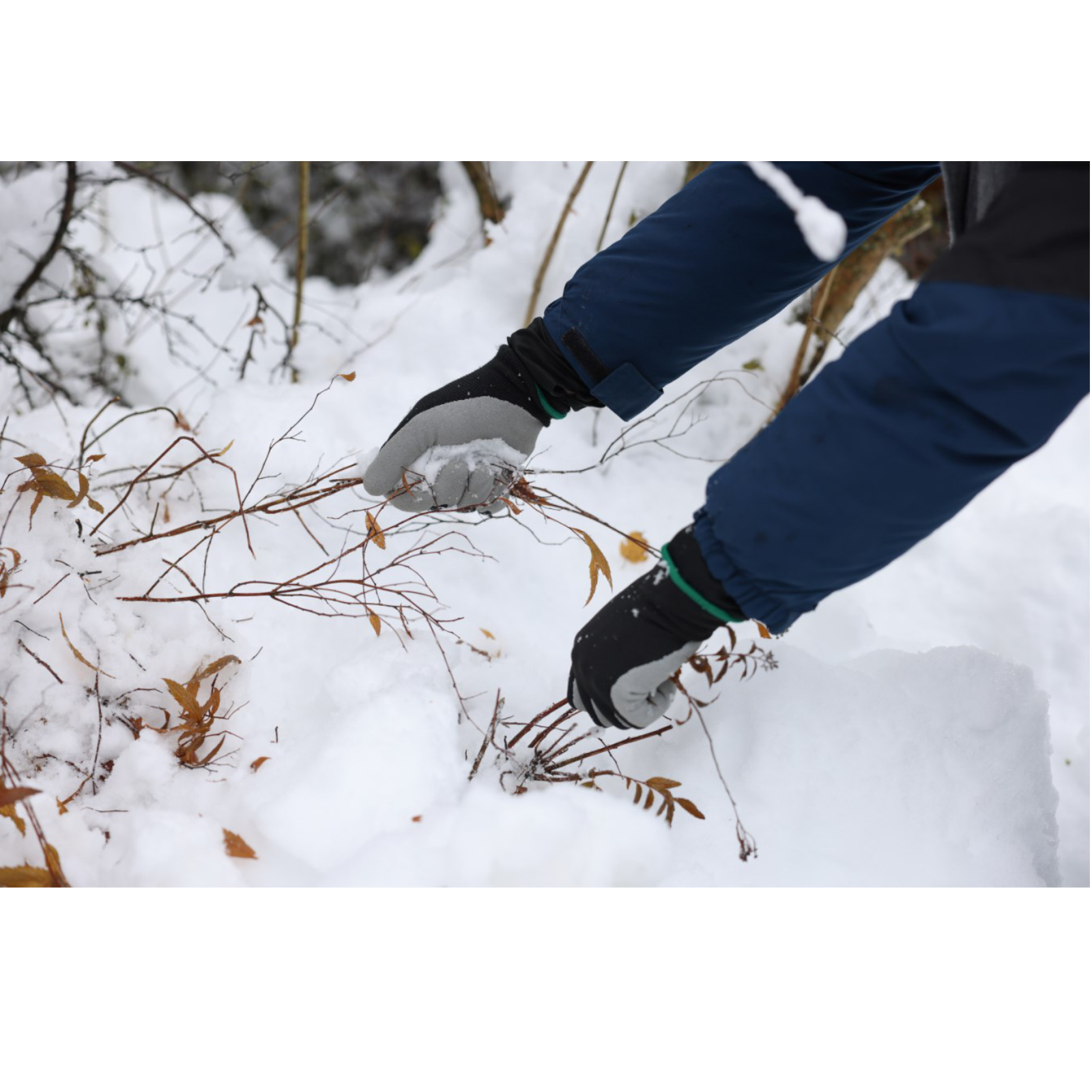  Winterhandschuh Winter Lite schwarz / grau