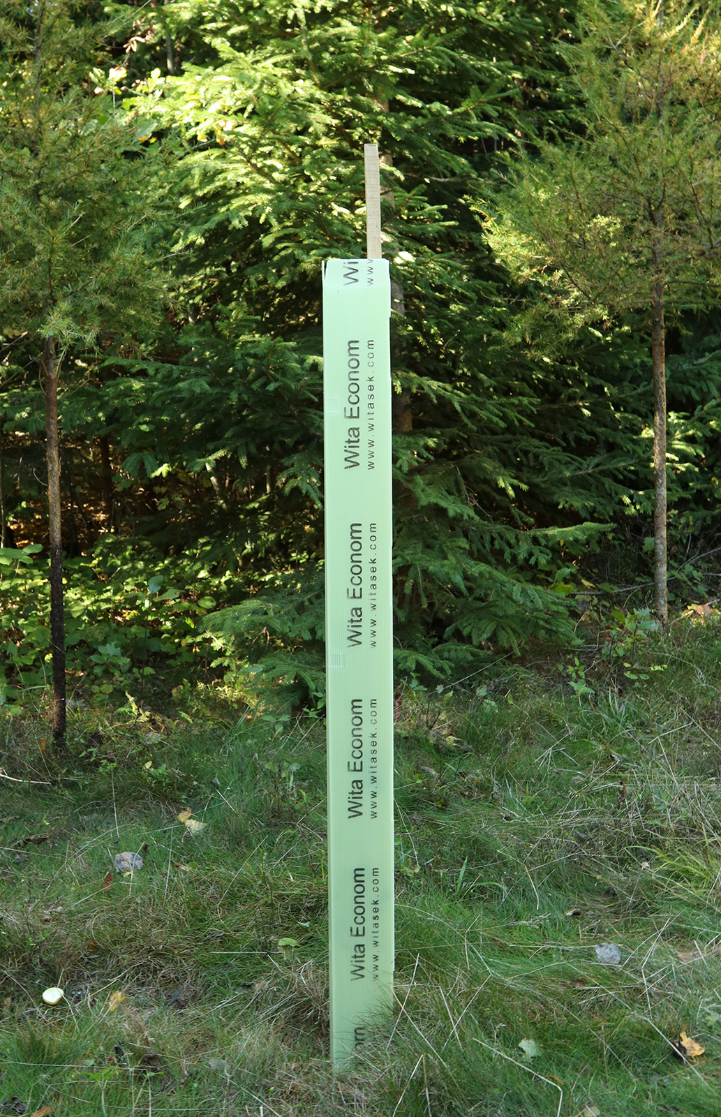Baumschutzsäule Eco Laubholz