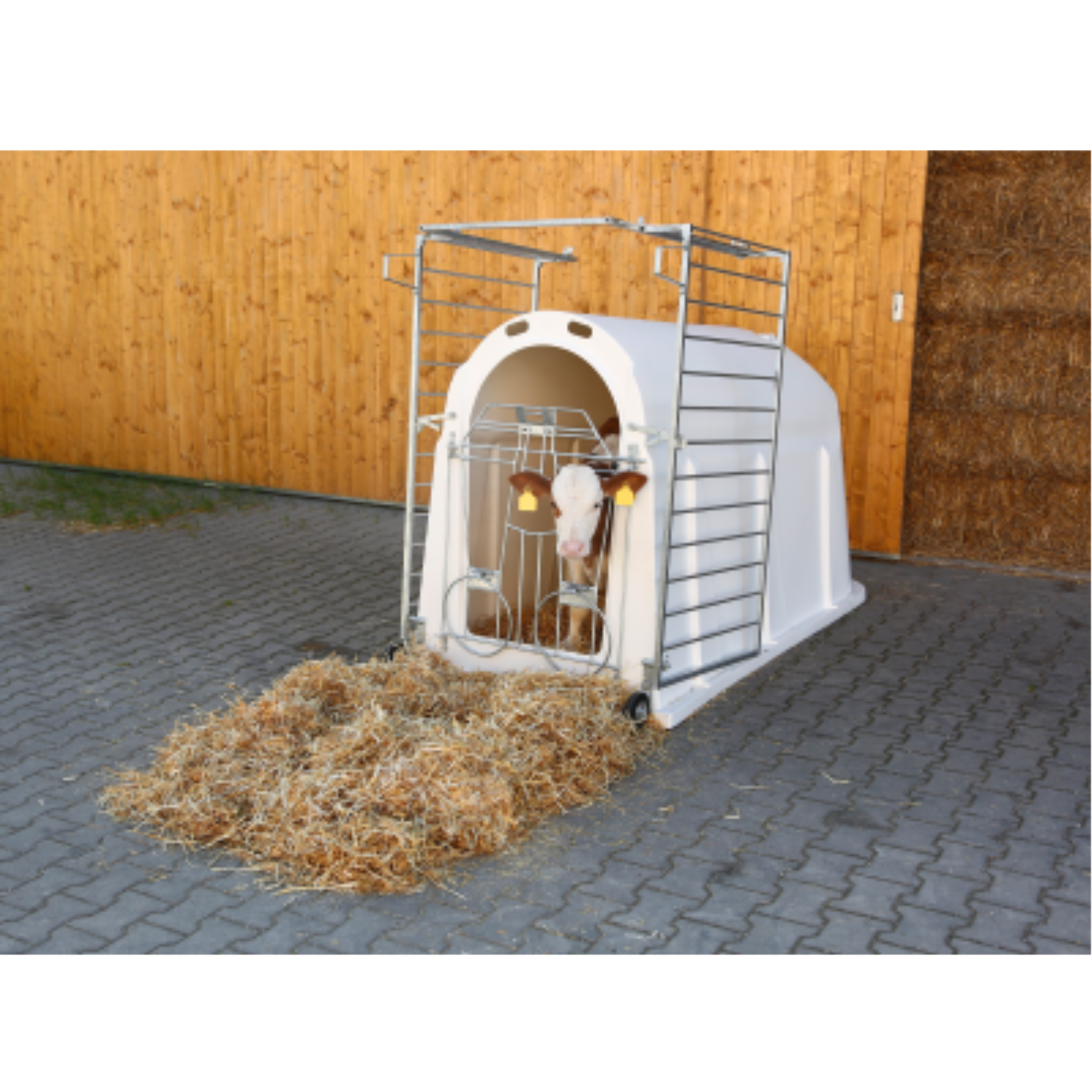 Kälberiglu CalfHouse PE UV+ mit leichter Umzäunung