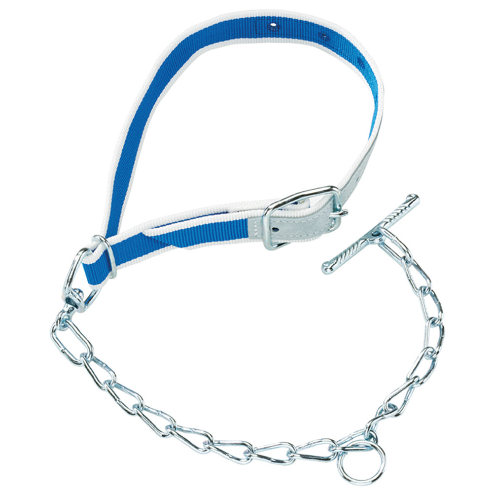 Anbindung HB 103 mit Kette