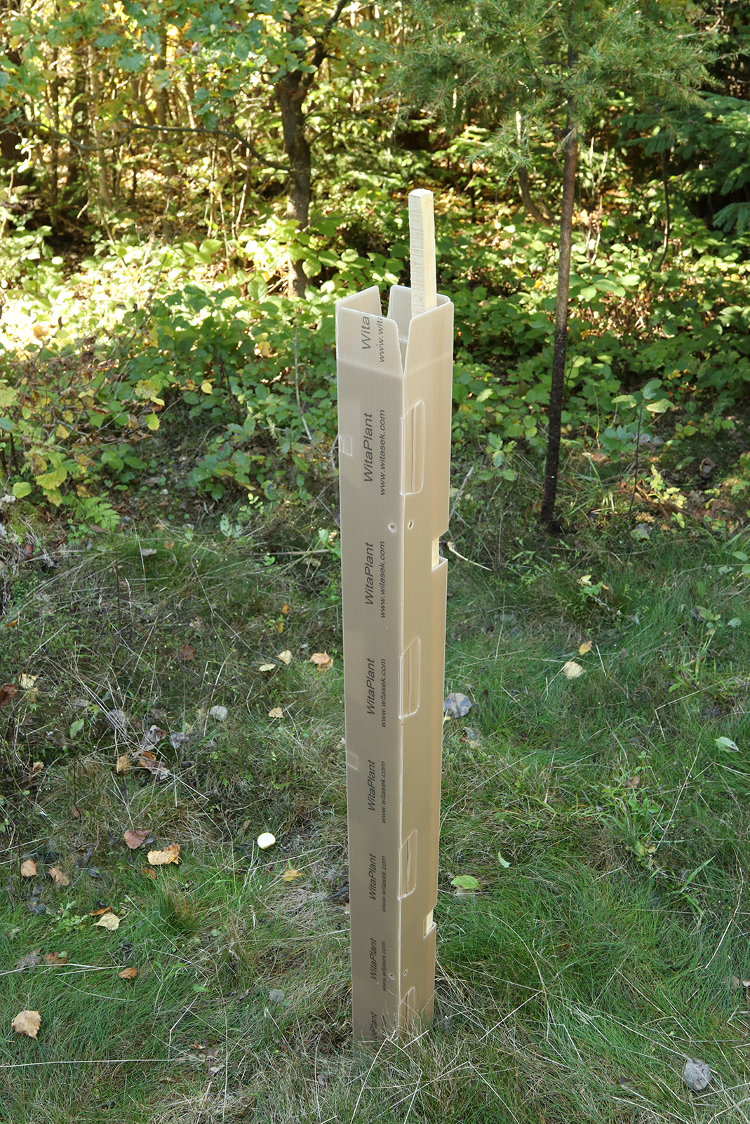 Baumschutzsäule MV Laubholz