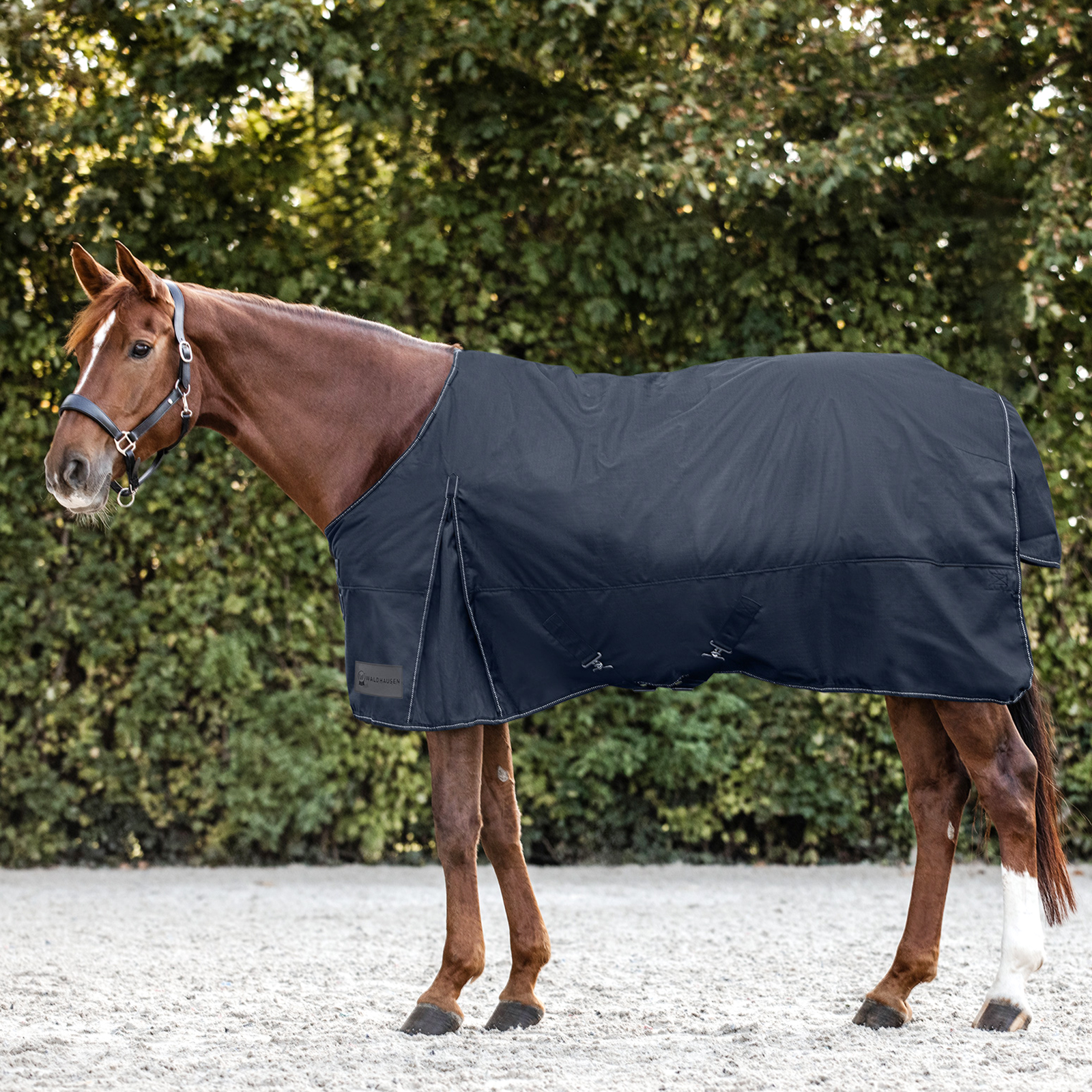 Pferdedecke Nordic nachtblau