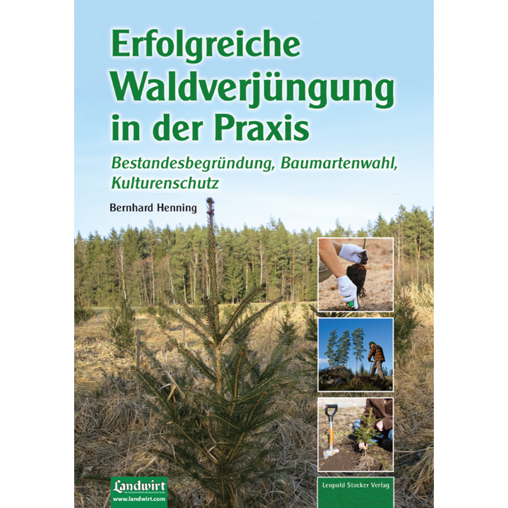 Erfolgreiche Waldverjüngung in der Praxis