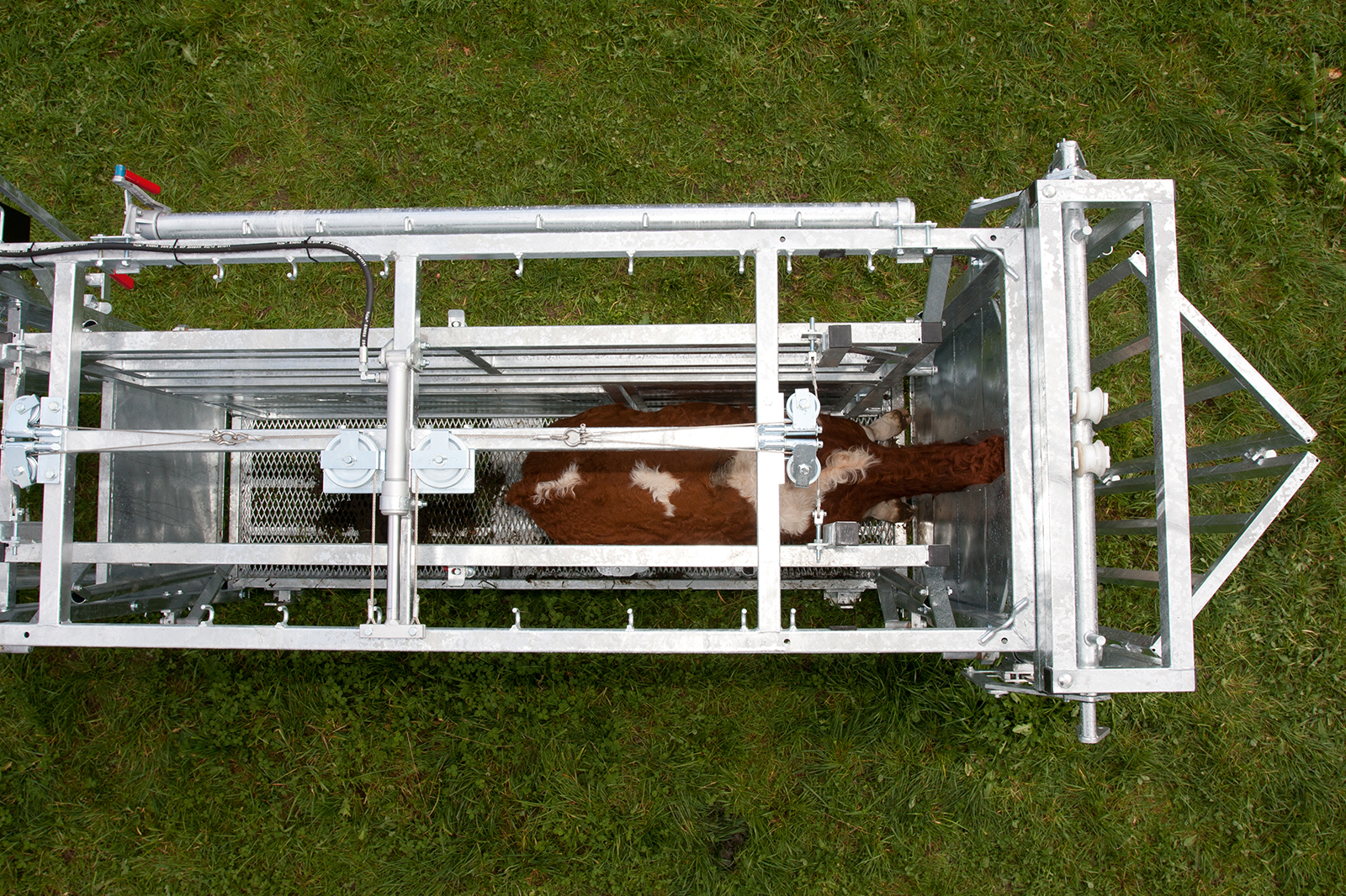 Behandlungsstand A8000