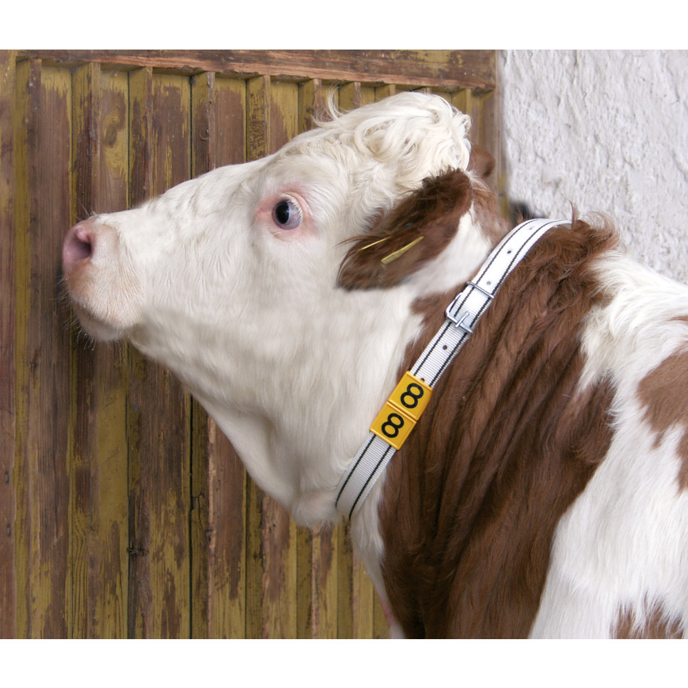 Hals-Markierungsband, 120 cm