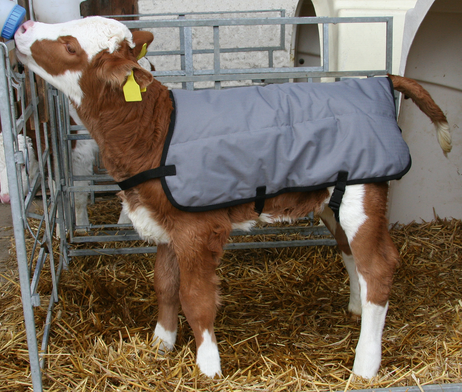 Kälberdecke Basic
