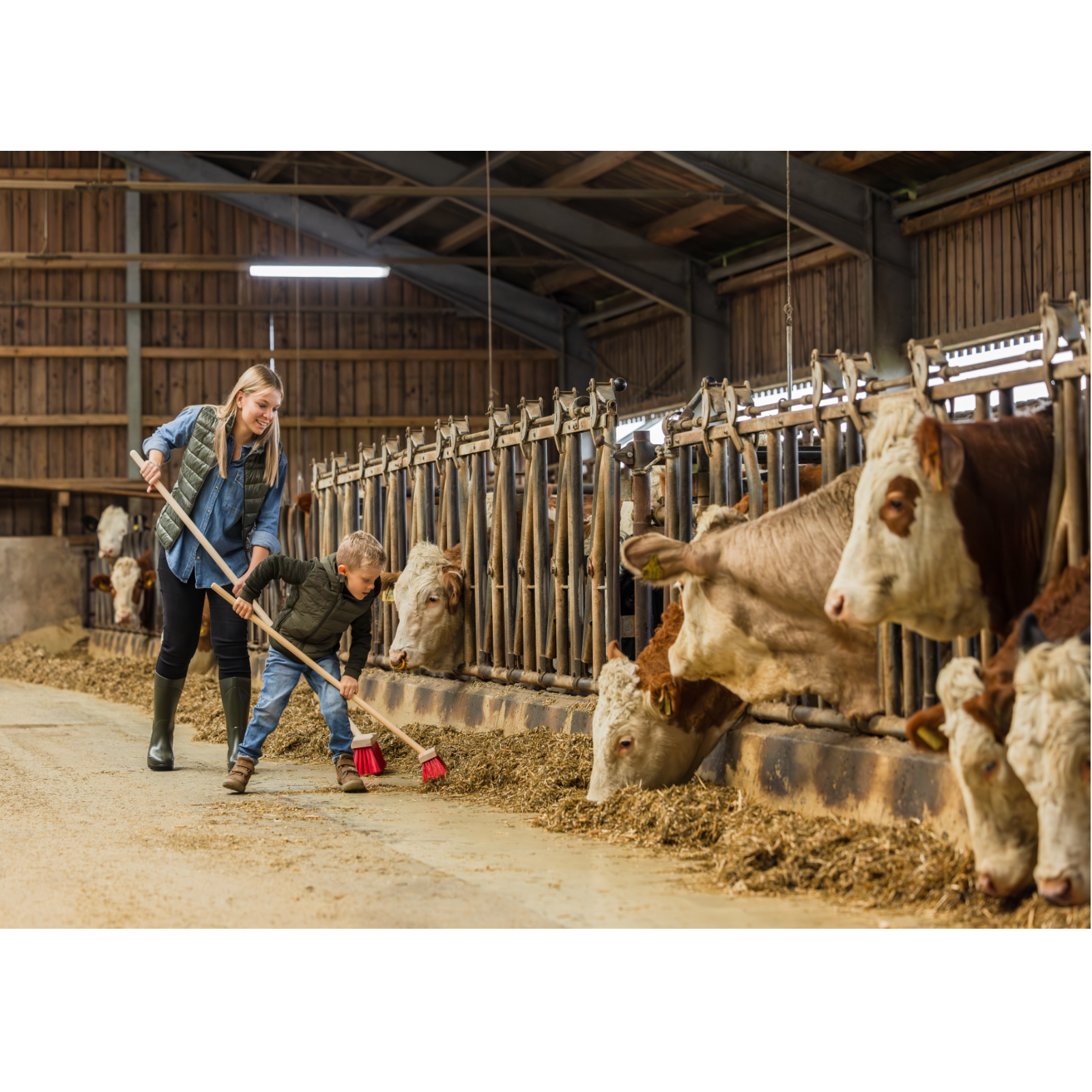 Straßen- und Stallbesen für Kinder