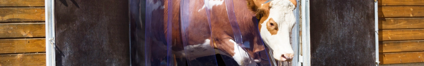 Schutz vor Kälte und Zugluft im Stall!