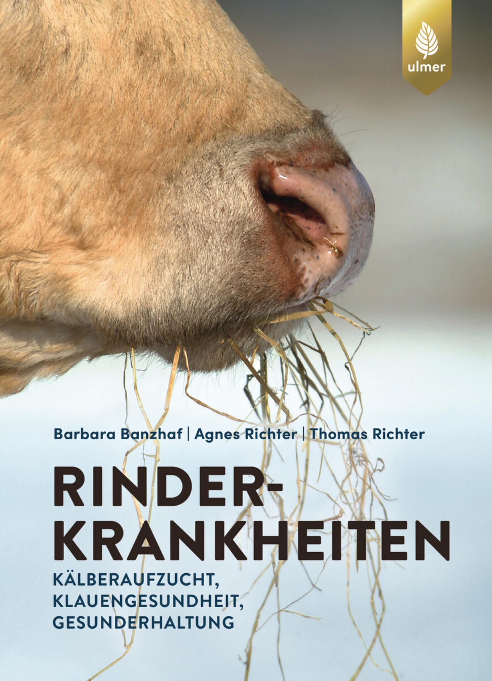 Rinderkrankheiten