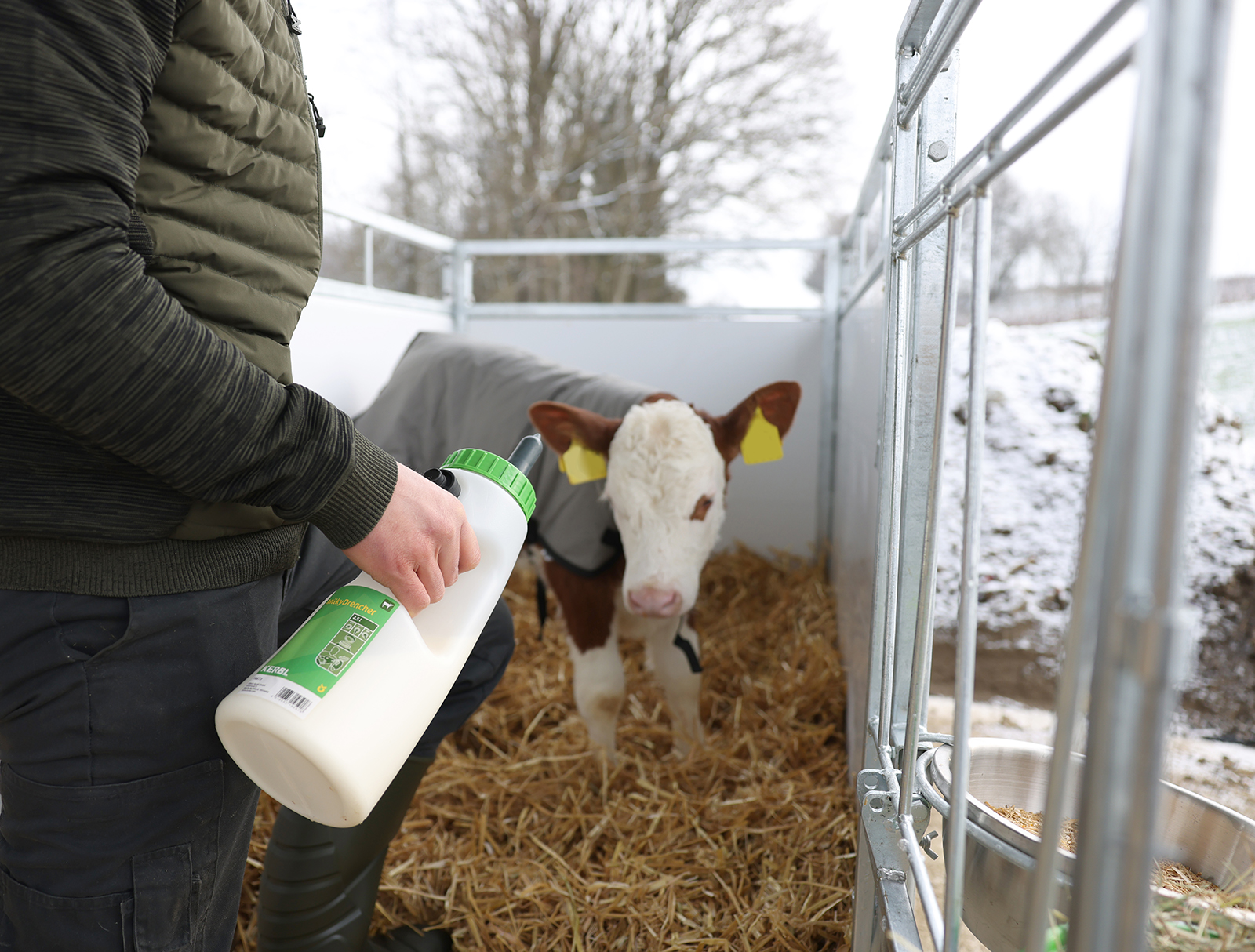 Kälbertränkeflasche MilkyFeeder 2,5 l