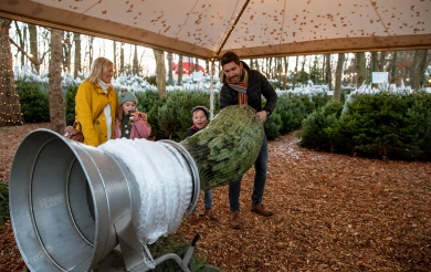Weihnachtsbaum Trichter und Netze