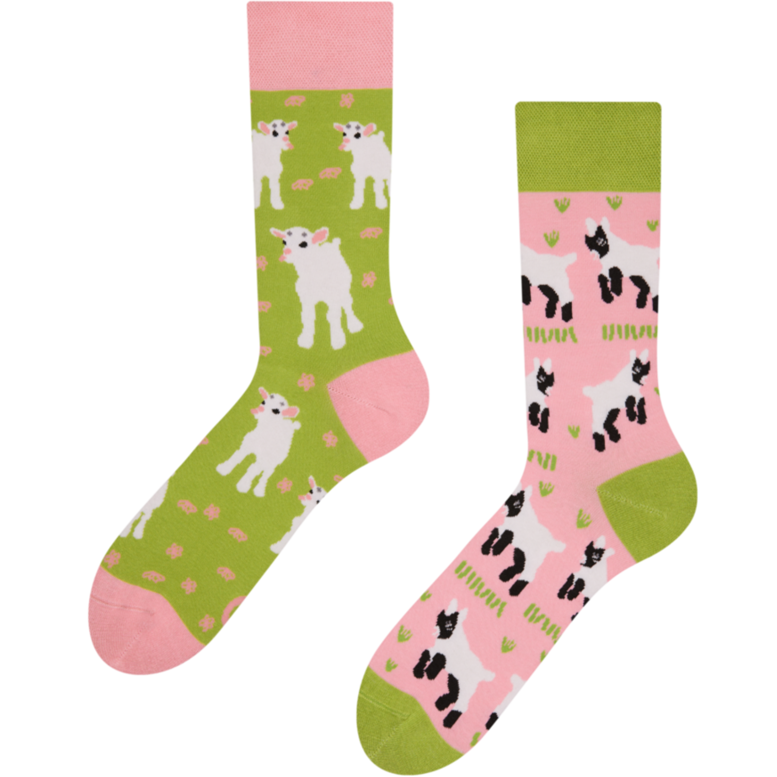  Socken Ziegenbabys
