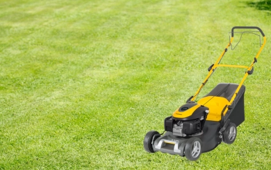 Rasenmäher Frühbezugsaktion!