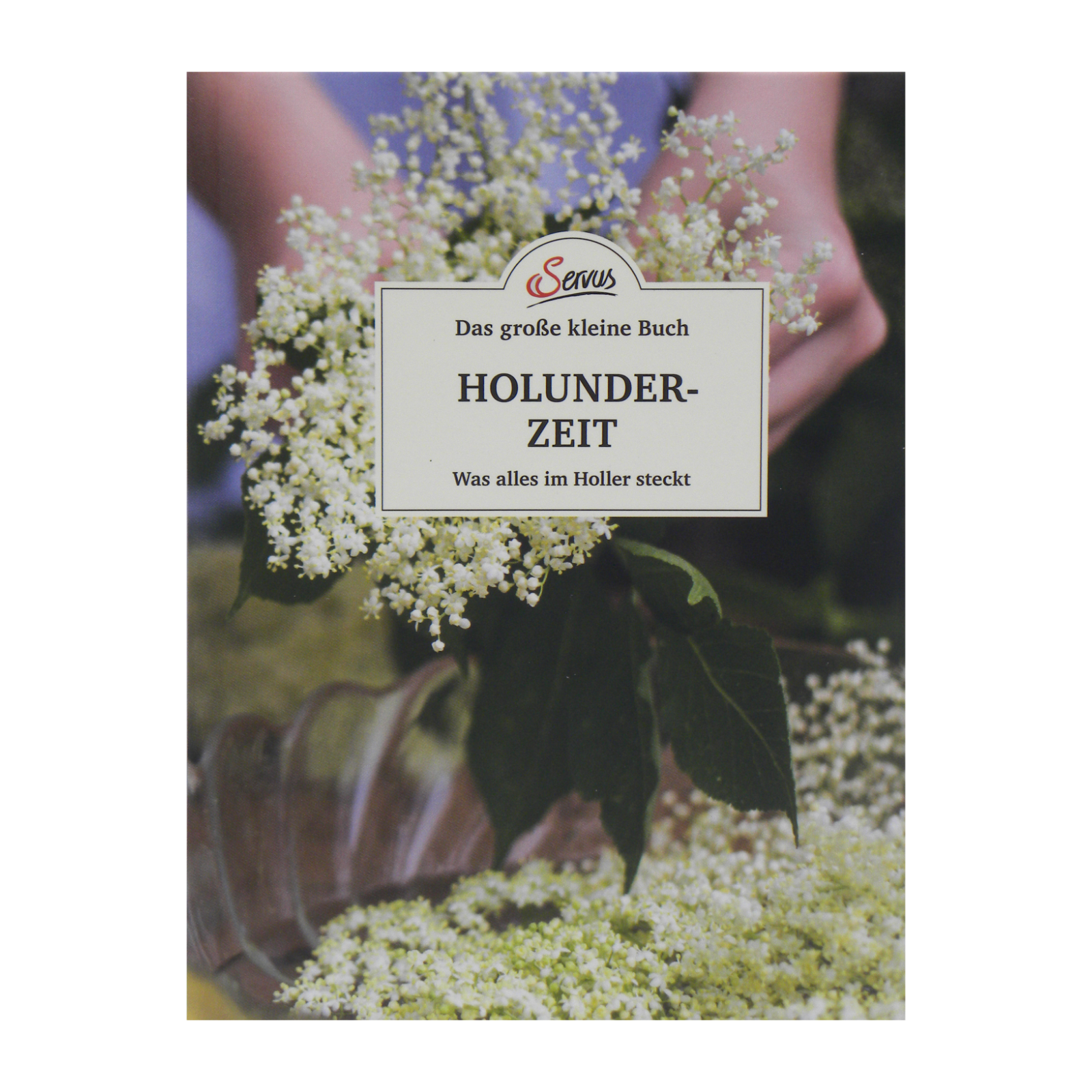 Das große kleine Buch: Holunderzeit