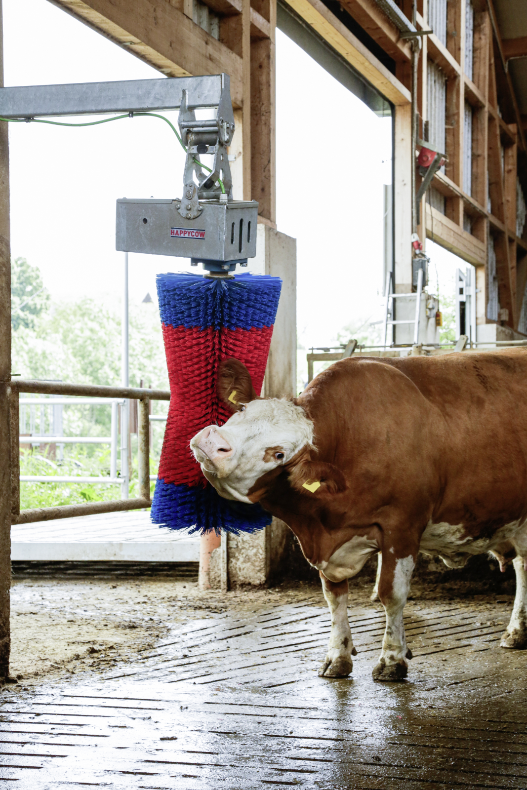 Kuhputzmaschine HappyCow MaxiSwing