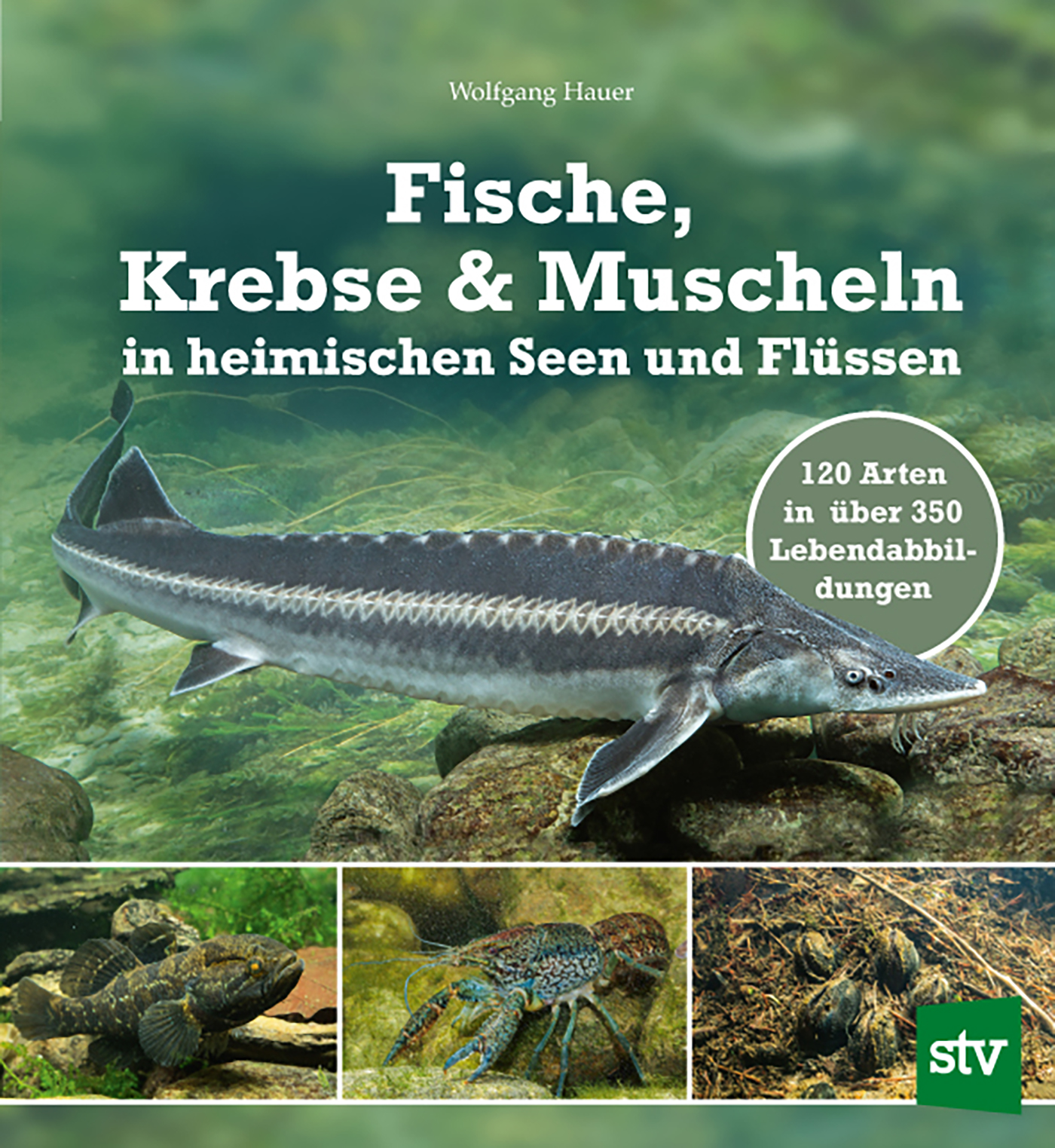 Fische, Krebse und Muscheln in heimischen Seen und Flüssen