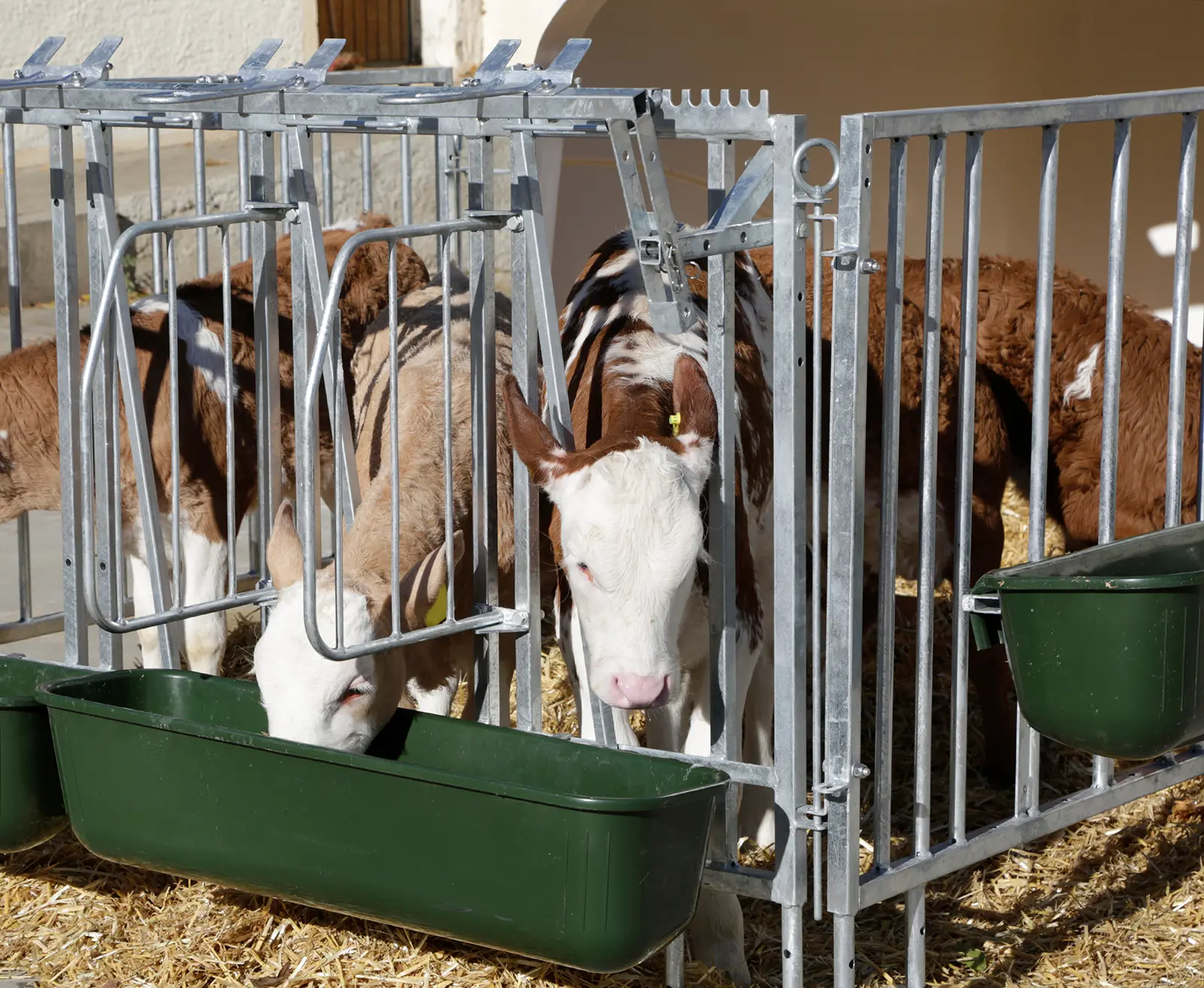 Fressplatzabtrennung