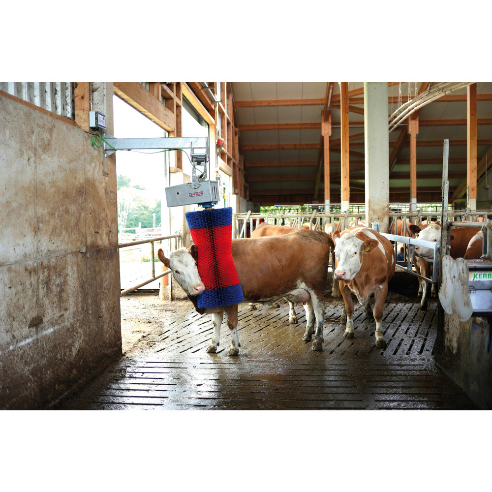 Kuhputzmaschine HappyCow MaxiSwing