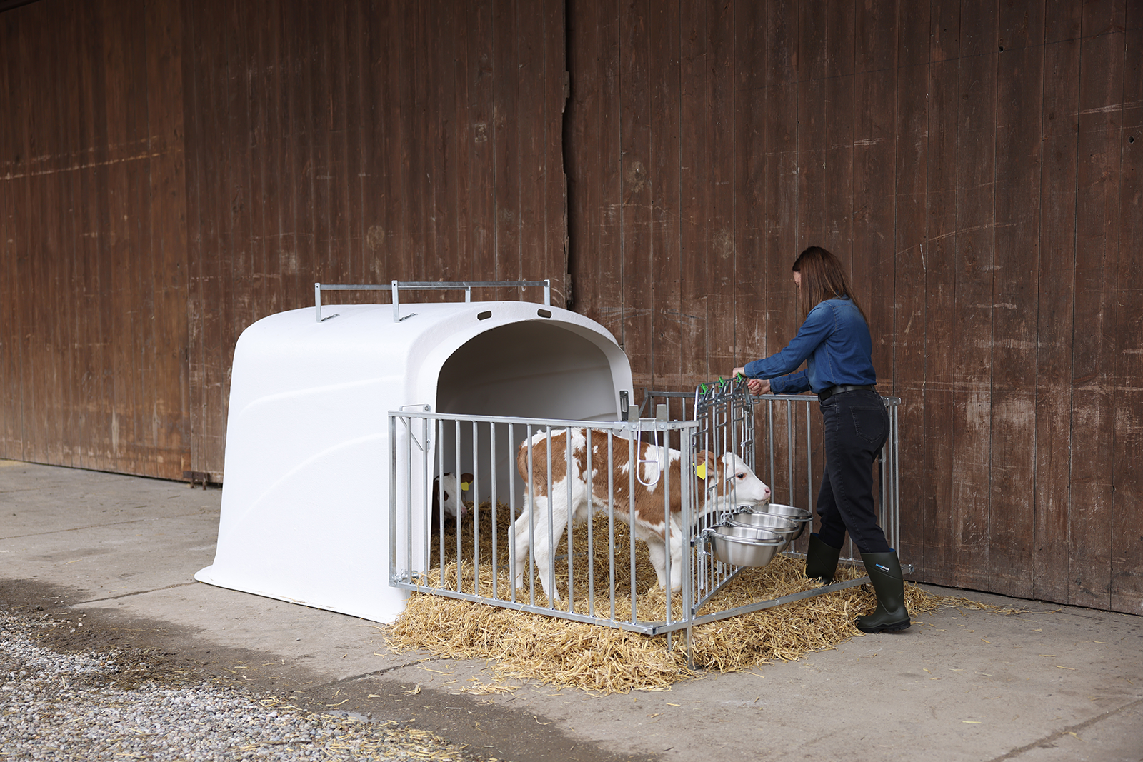 Kälberiglu CalfHouse Premium DUO, mit Zaun