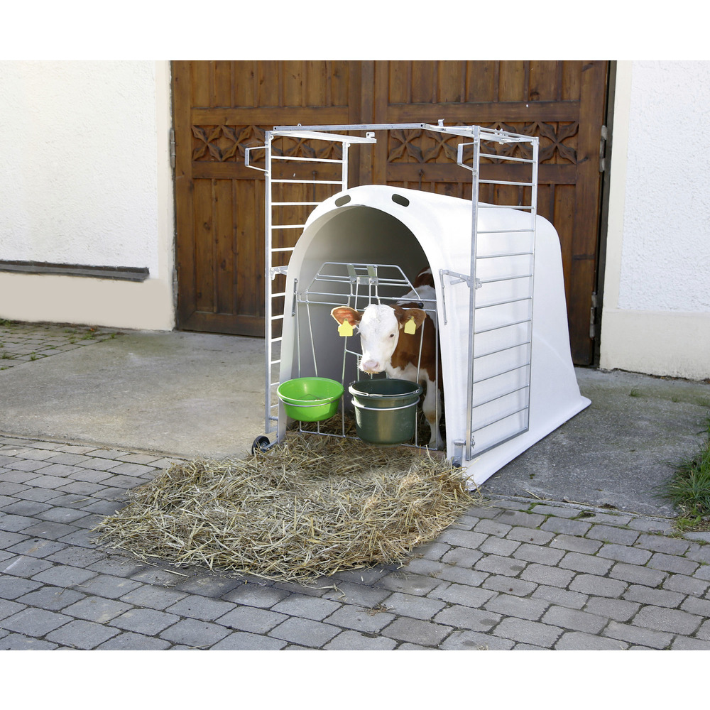 Kälberiglu Master Plus, mit Zaun