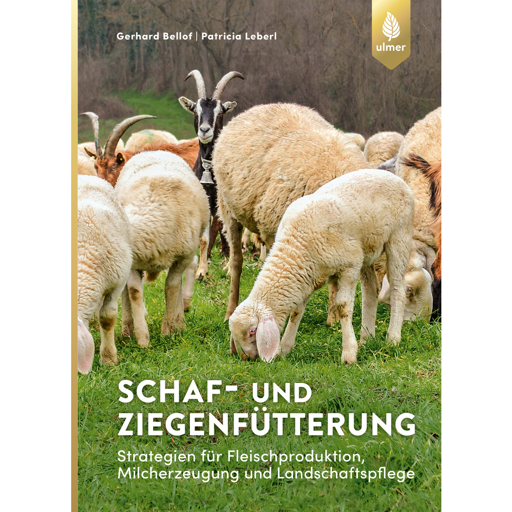 Schaf-und Ziegenfütterung