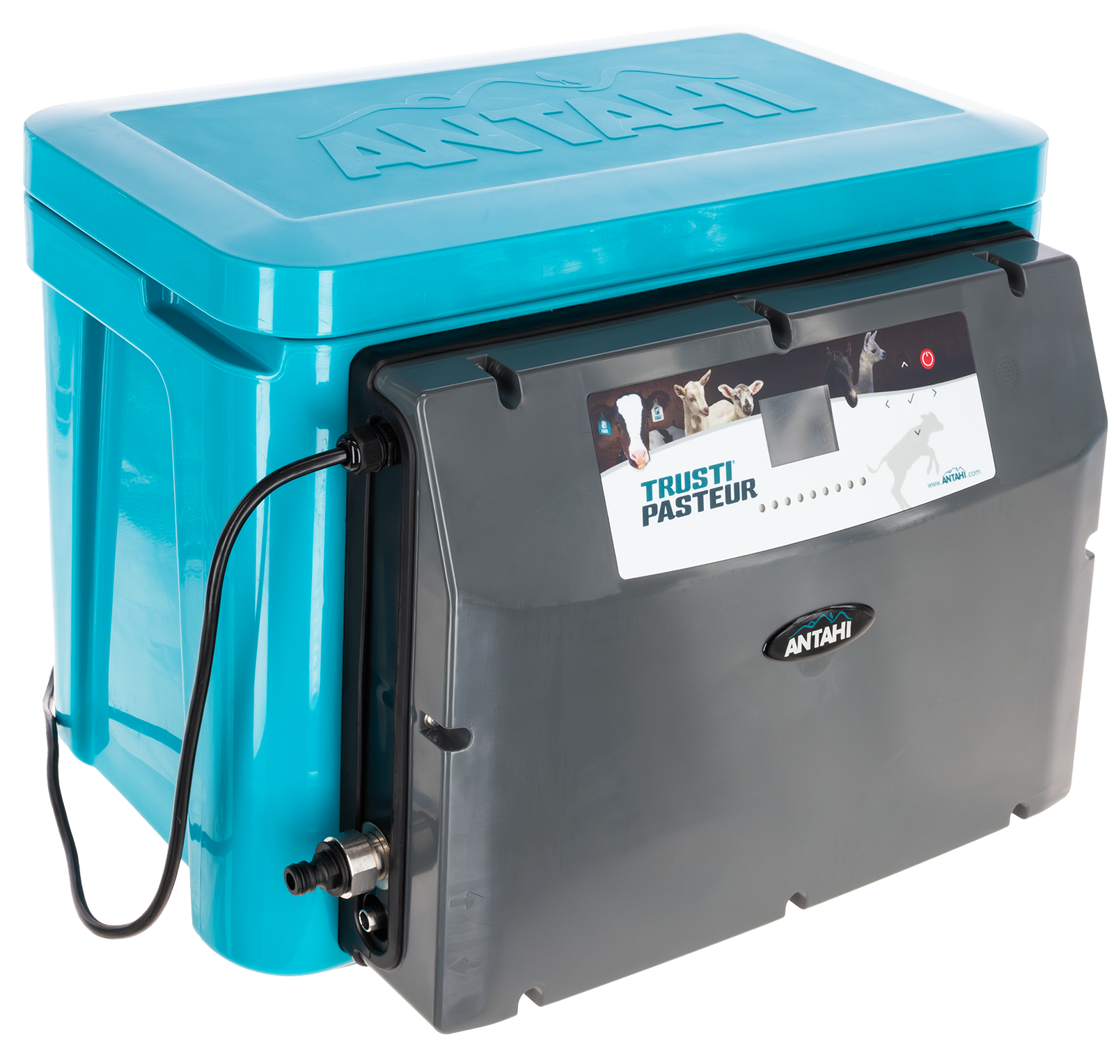 Colostrum Pasteurisator Trusti