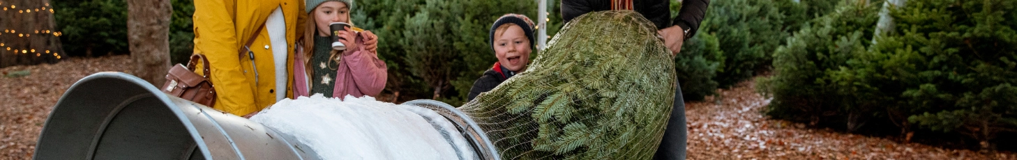 FAIE Weihnachtsbaum Trichter und Netze