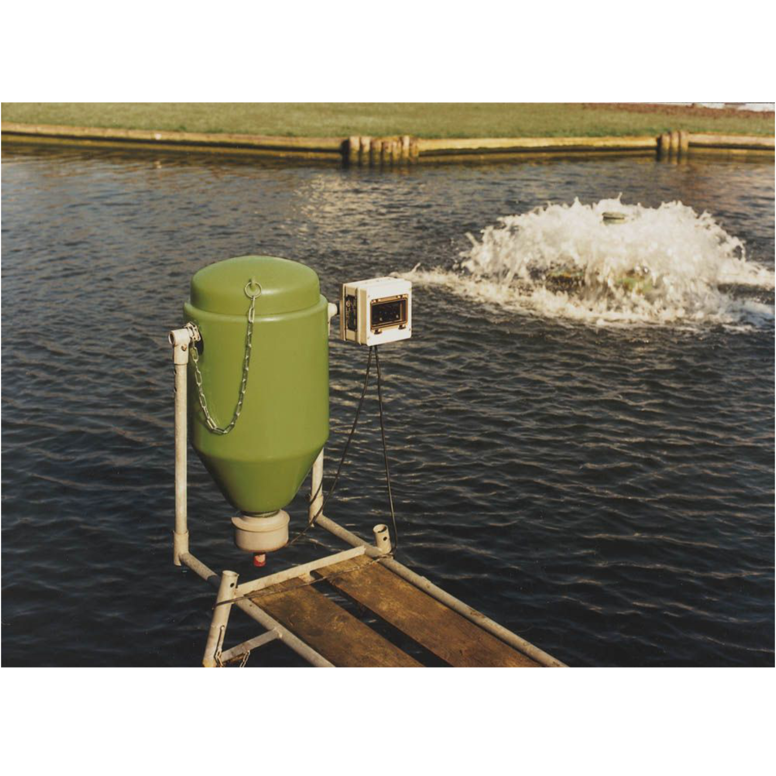 Fischfutterspender mit Vibrationssystem