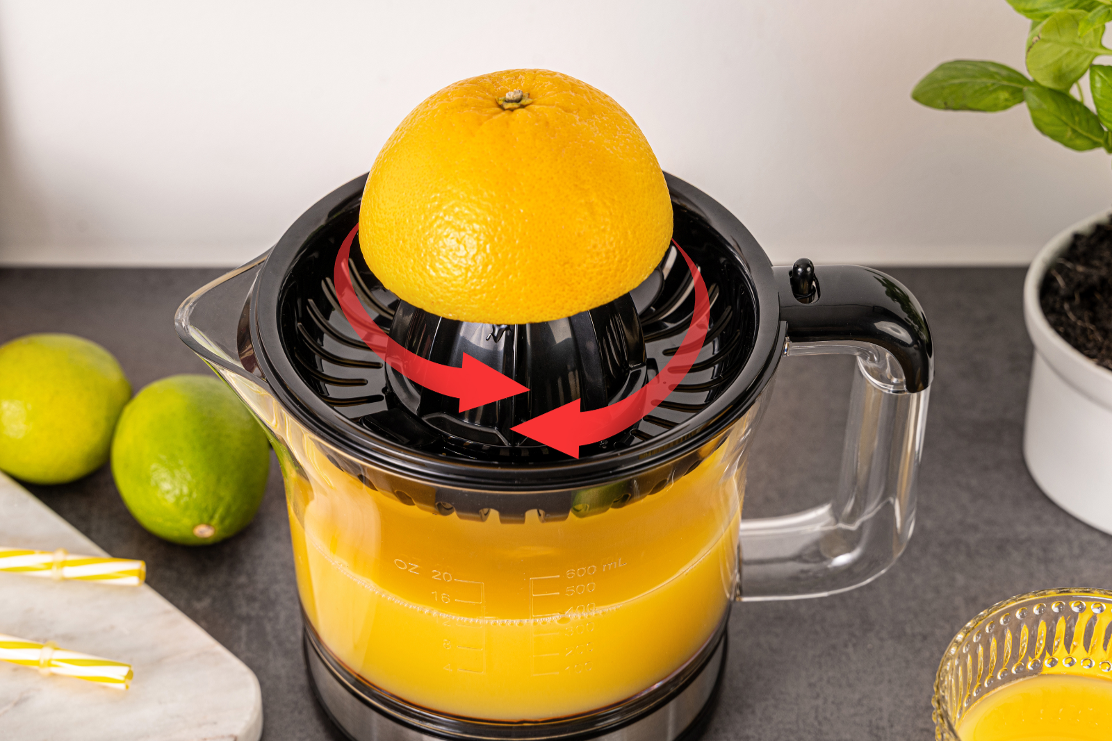 Zitruspresse ZP 50
