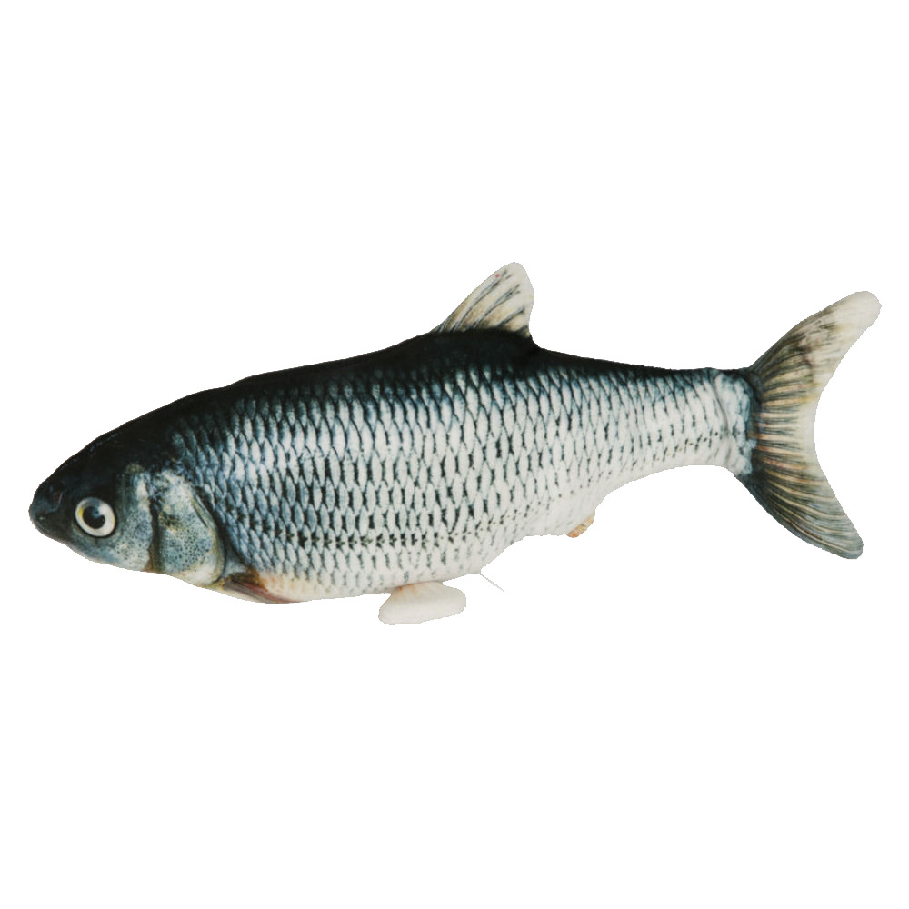 Katzenspielzeug - Jumping Fish