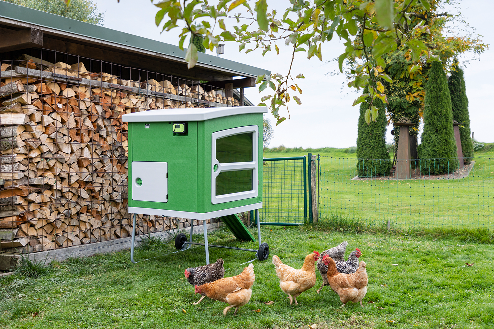 Steuerung SmartCoop