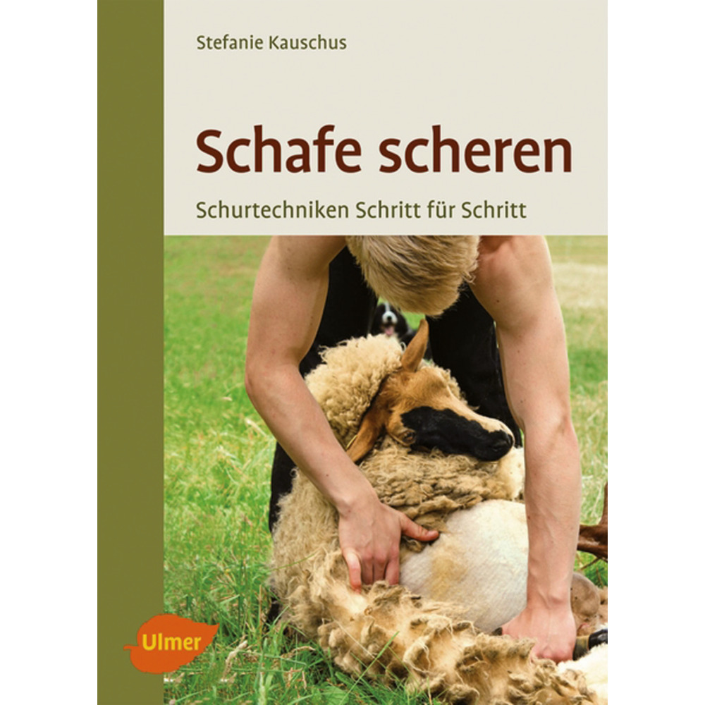 Schafe scheren