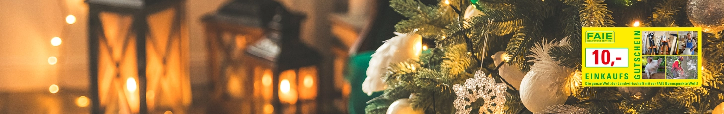 FAIE Einkaufsgutschein
