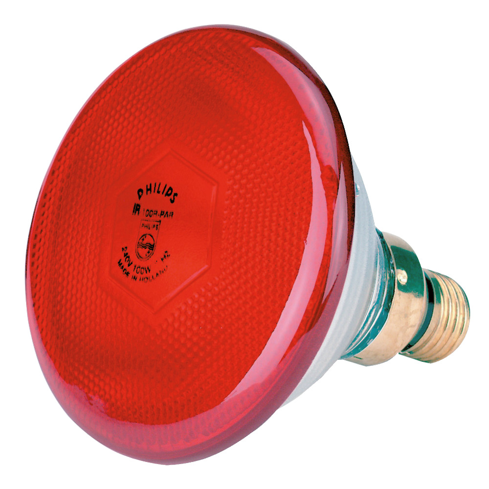 Infrarot-Sparlampe Philips